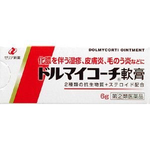 ドルマイコーチ軟膏 6G 【指定第2類医薬品】